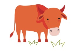 cow